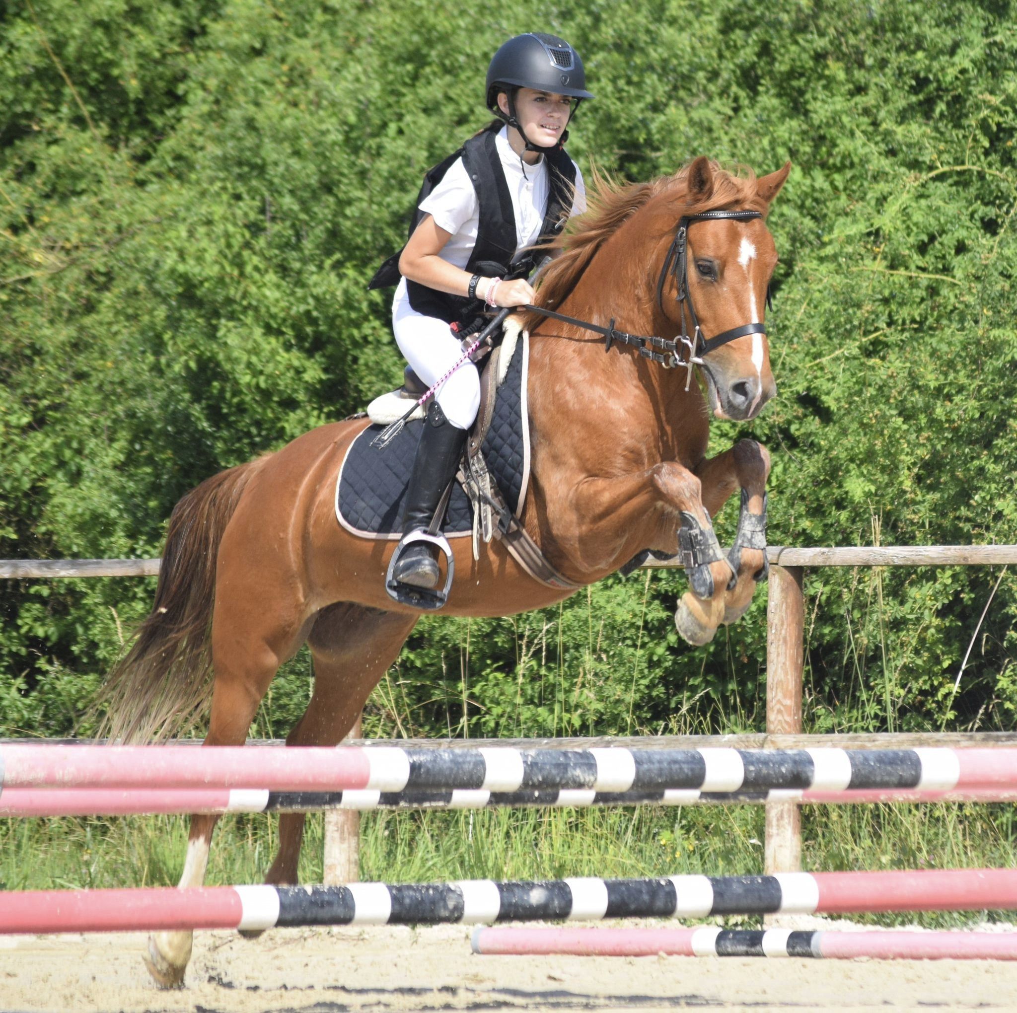 blockValue.ca0a8331-3eaa-41b8-bafc-c9b588793712.image.8.img_alt