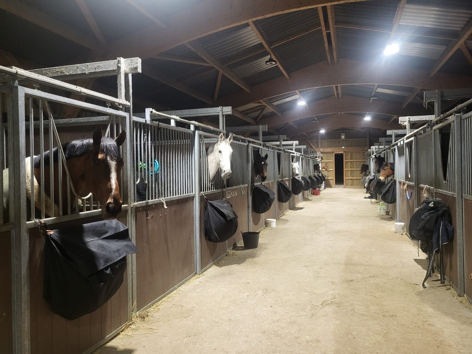 blockValue.d8ca84a0-1ed3-46ef-8f71-de5a4d2377e0.img_alt