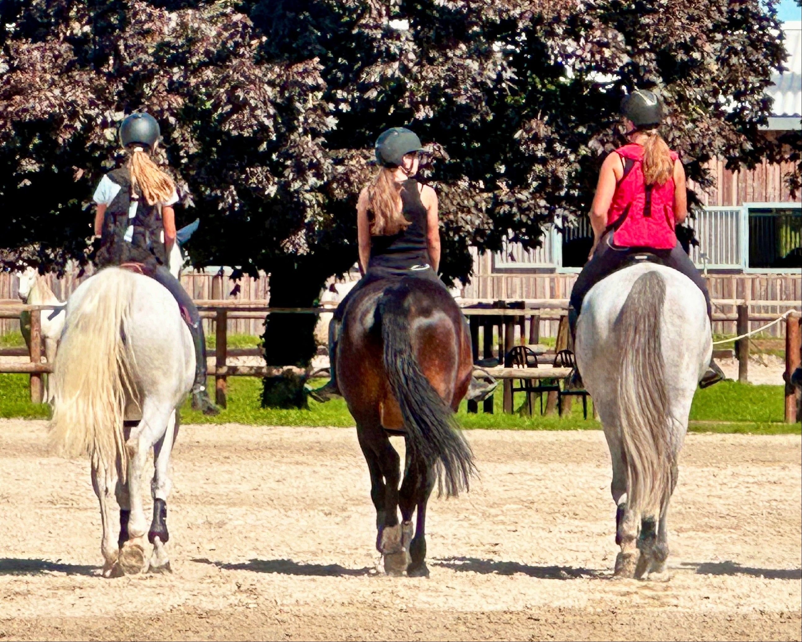 le centre équestre de Menois à Rouilly-Saint-Loup