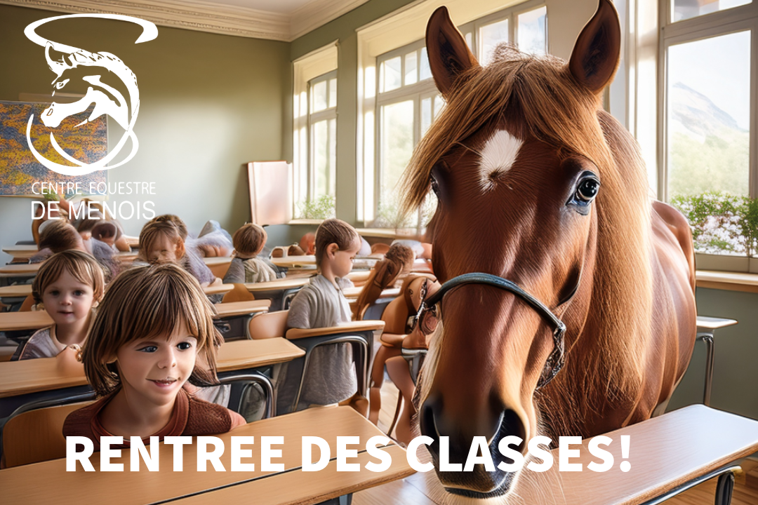 Image de Les cours reprennent ! 